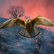 Illustration for article titled Birds Deliberately Spread Wildfires Because Birds Are Dicks